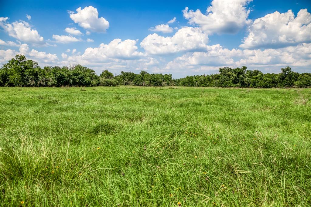 0000 Flat Prairie Road, Washington, Texas image 10