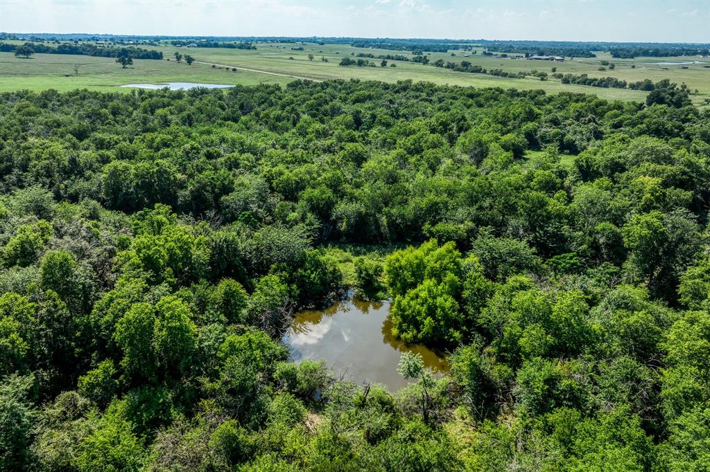 0000 Flat Prairie Road, Washington, Texas image 22