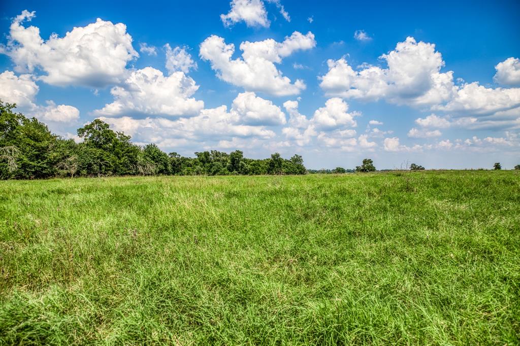 0000 Flat Prairie Road, Washington, Texas image 7