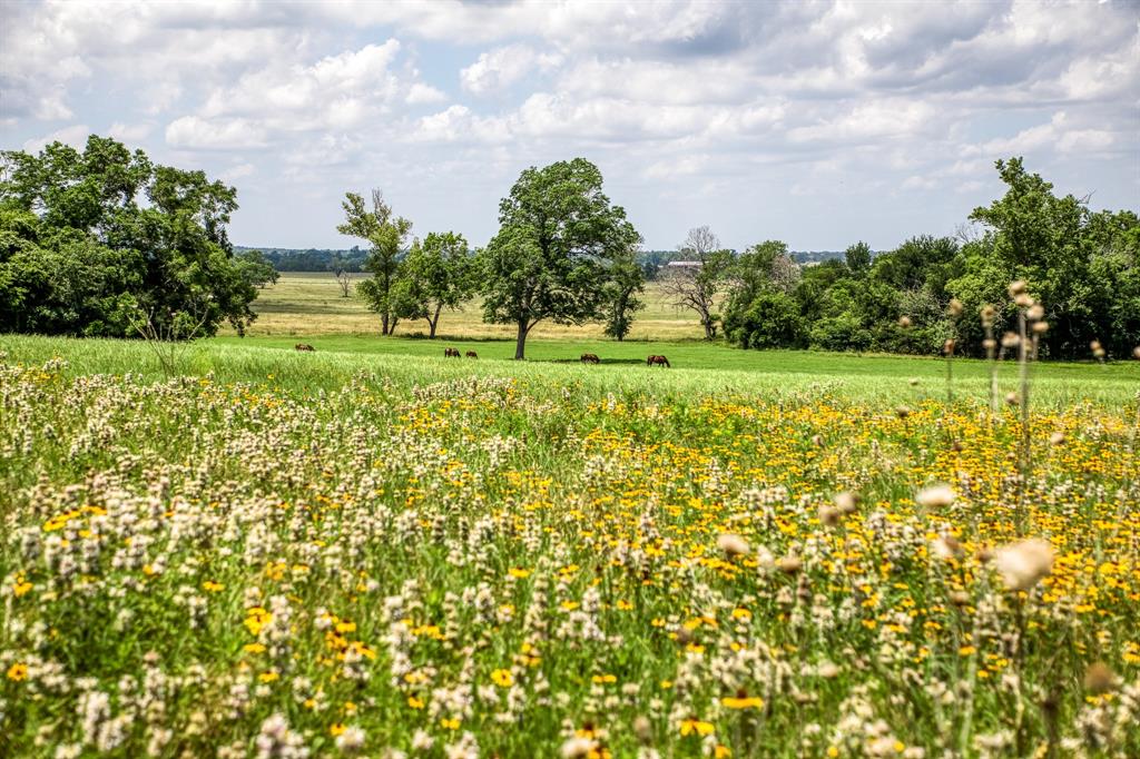 0000 Flat Prairie Road, Washington, Texas image 19