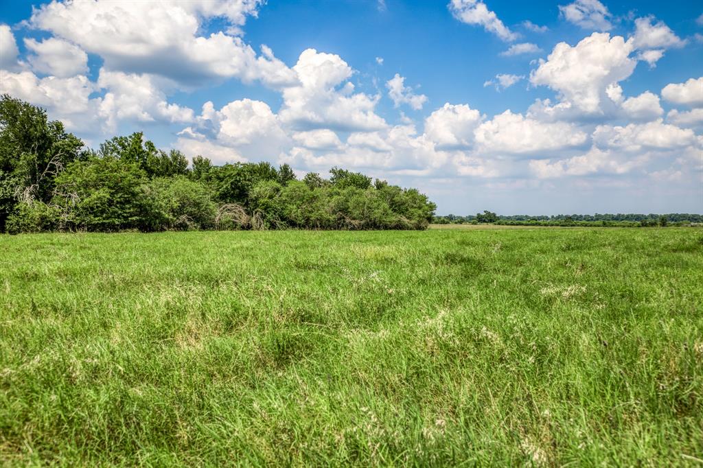 0000 Flat Prairie Road, Washington, Texas image 13