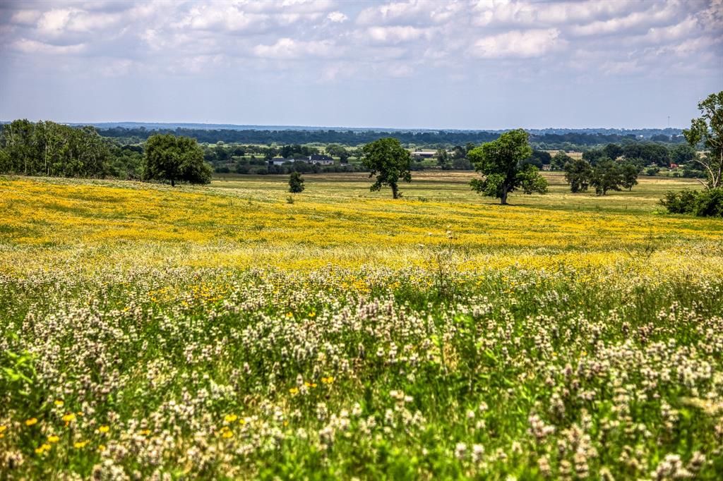 0000 Flat Prairie Road, Washington, Texas image 16