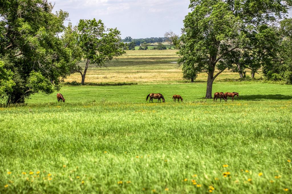 0000 Flat Prairie Road, Washington, Texas image 17