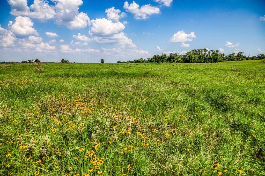 0000 Flat Prairie Road, Washington, Texas image 9