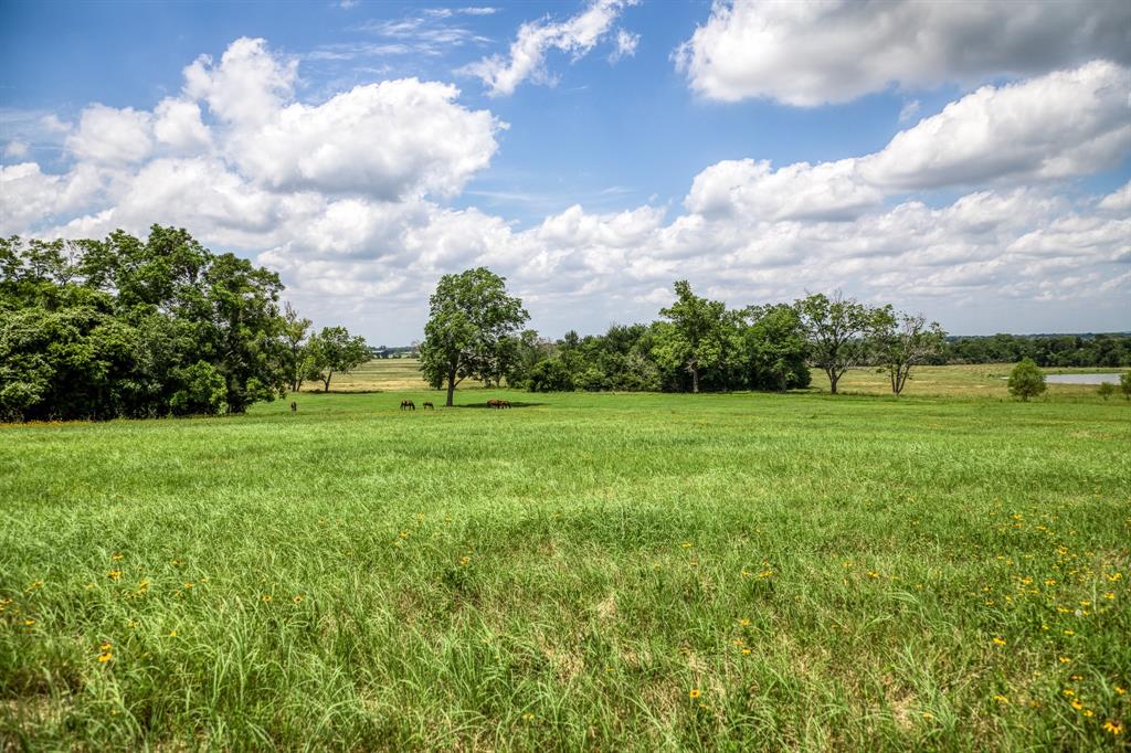 0000 Flat Prairie Road, Washington, Texas image 18