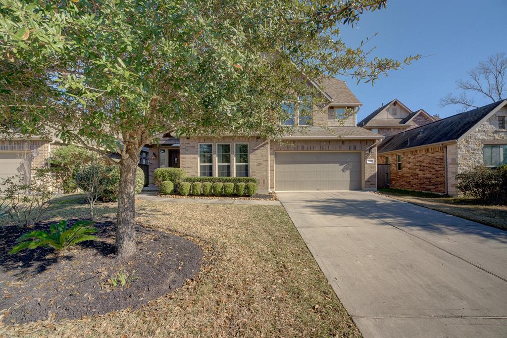 23470 Fauburg Drive, New Caney, Texas image 3