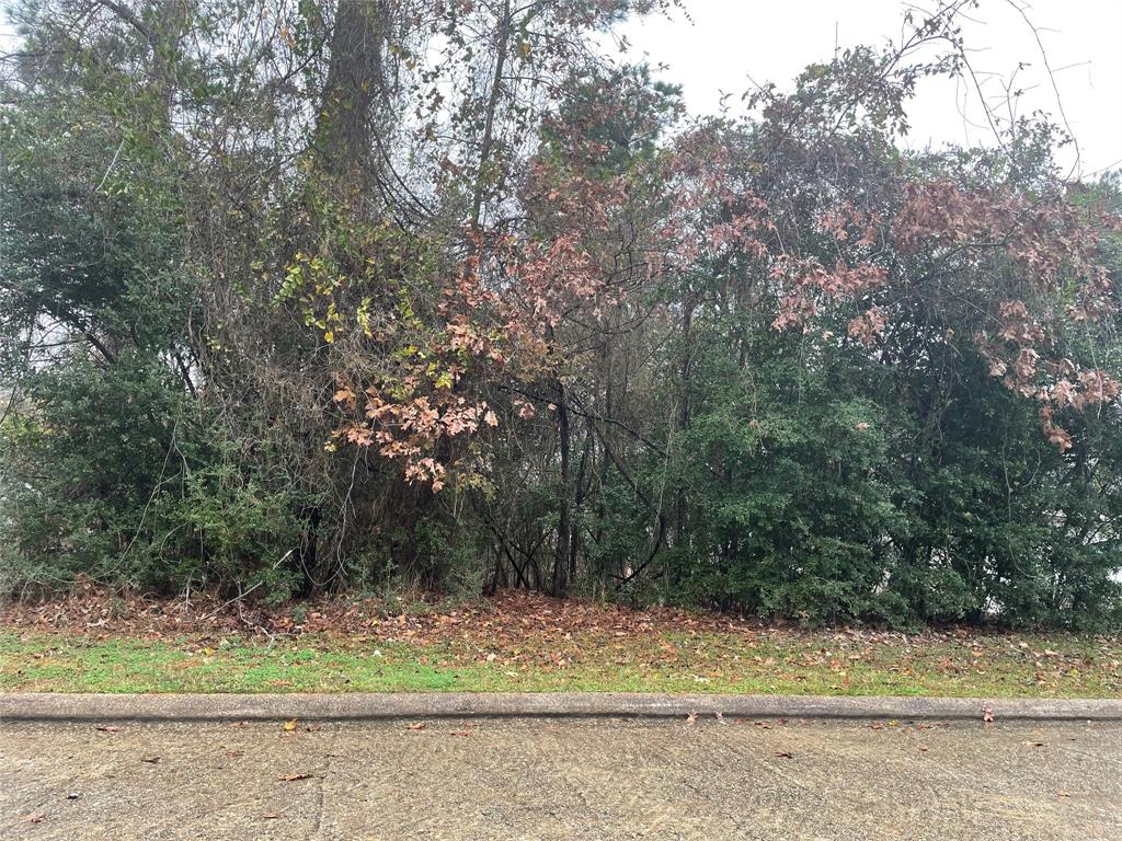 13310 Enchanted Way