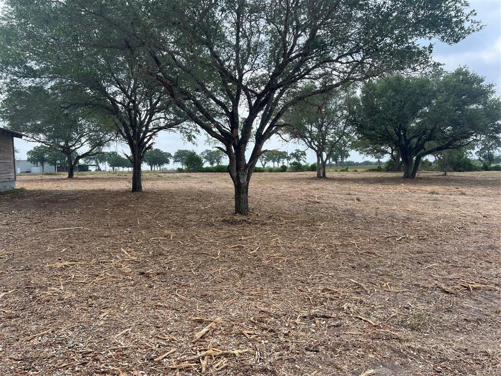 566 County Road 430, Hallettsville, Texas image 6
