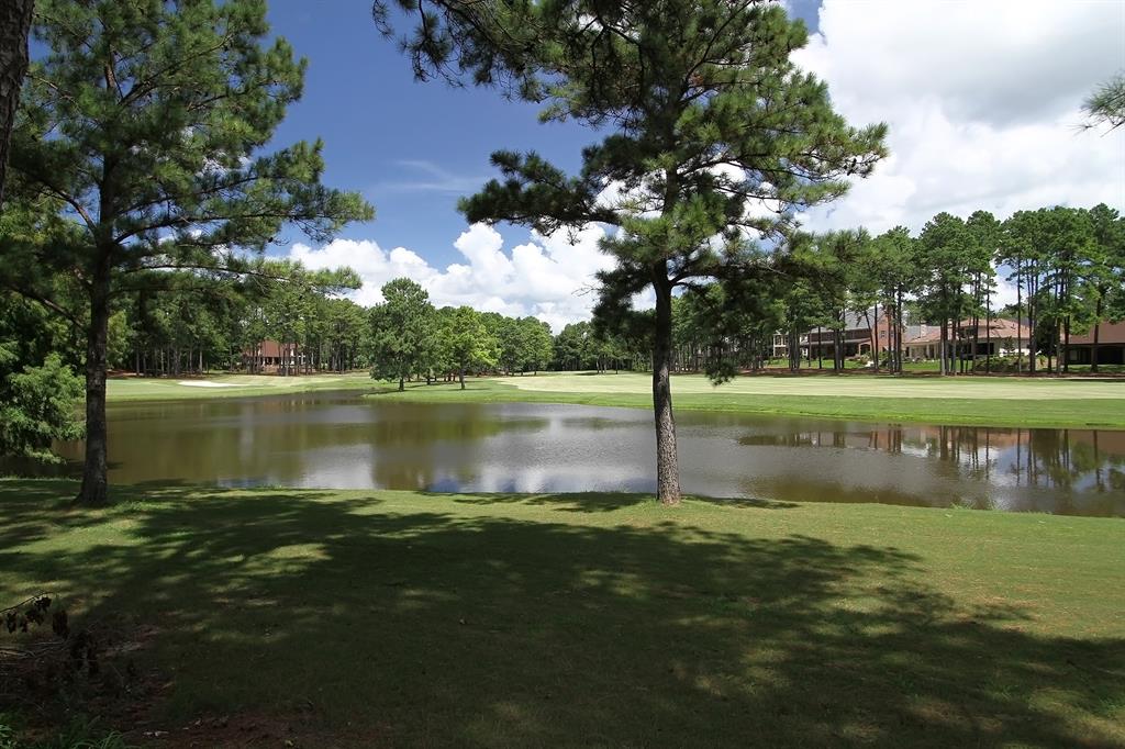 26 Winthrop Harbor Court, Montgomery, Texas image 11