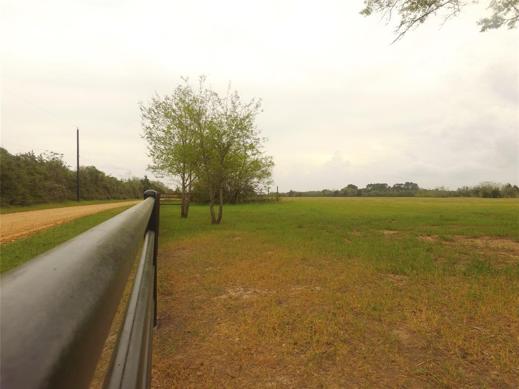 TBD Kloss Road, Sealy, Texas image 11