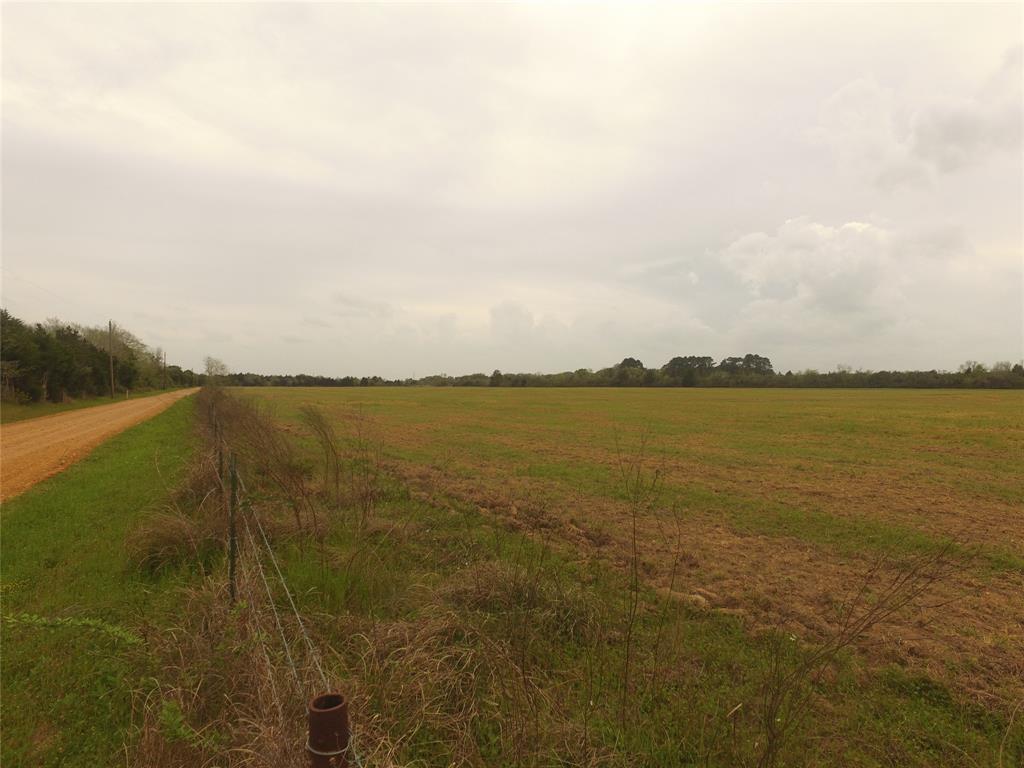 TBD Kloss Road, Sealy, Texas image 12