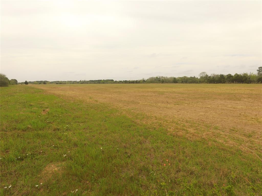 TBD Kloss Road, Sealy, Texas image 13
