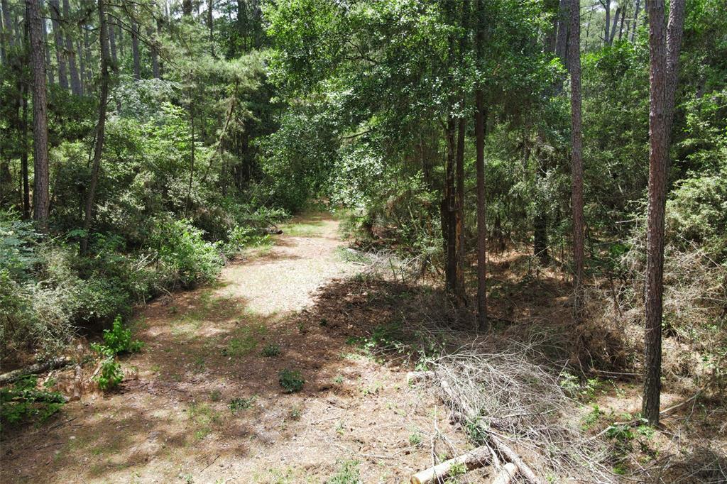36263 E Council  Drive Ct, Hempstead, Texas image 19
