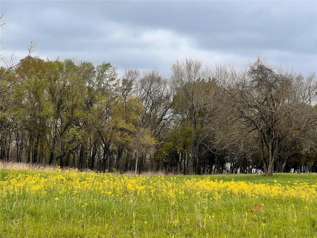 159 County Road 890, Jewett, Texas image 31