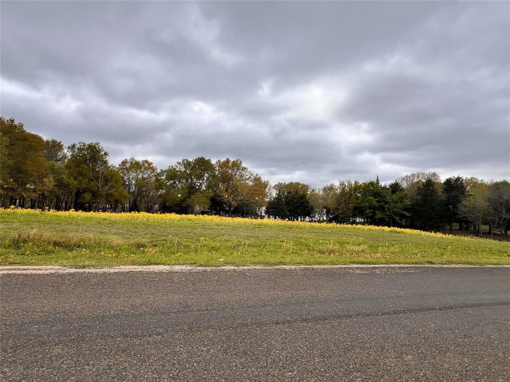 159 County Road 890, Jewett, Texas image 13