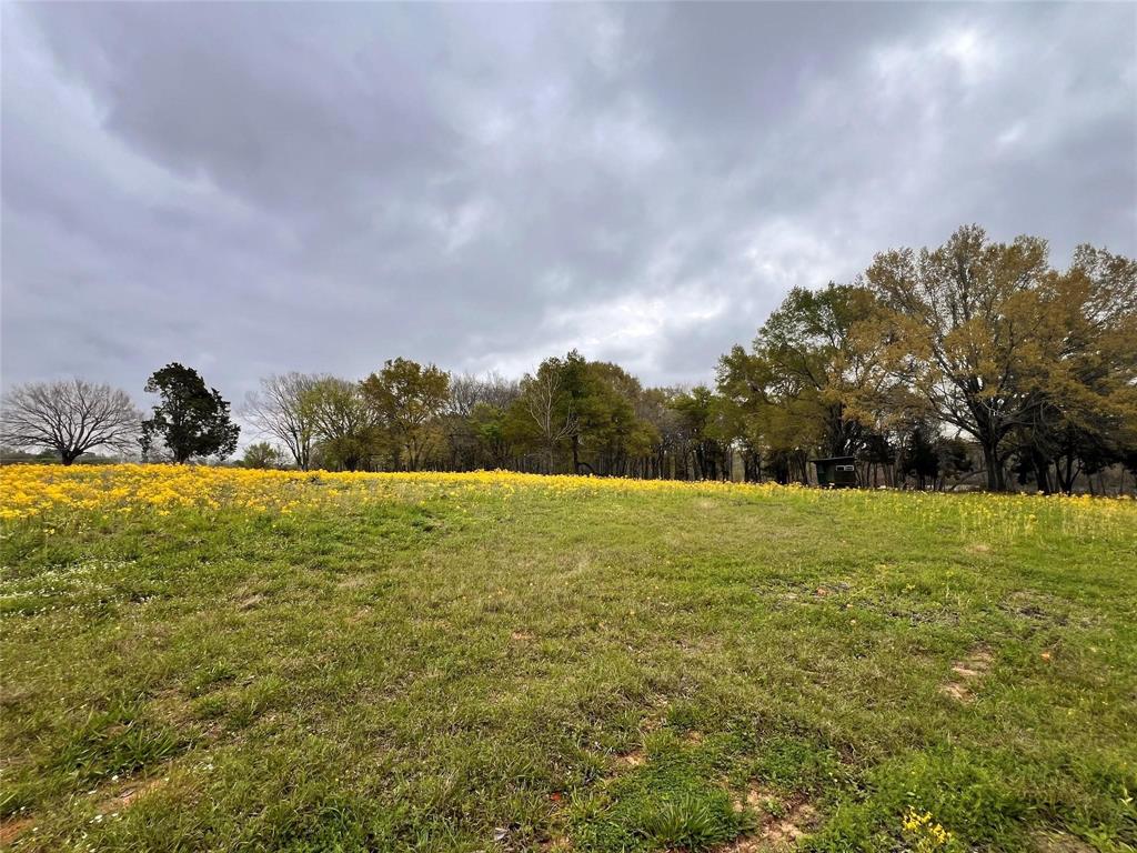 159 County Road 890, Jewett, Texas image 16