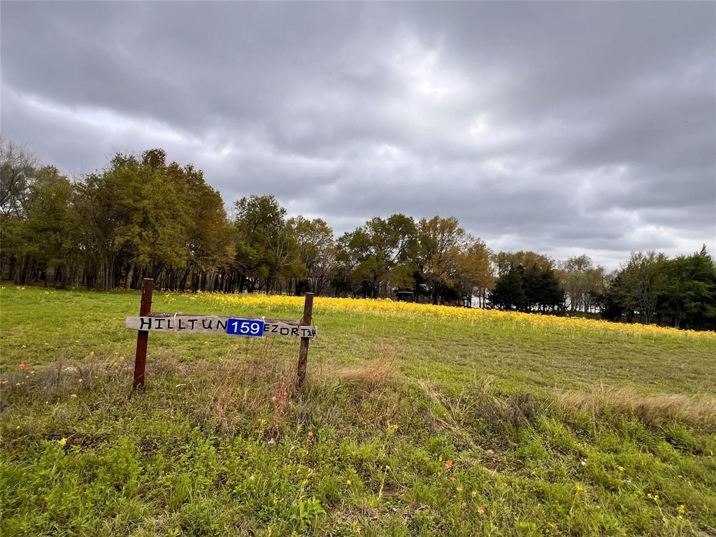 159 County Road 890, Jewett, Texas image 1