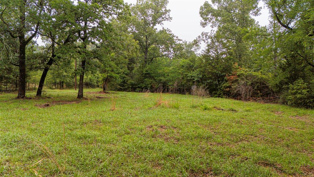 1093 Fm 489, Oakwood, Texas image 9