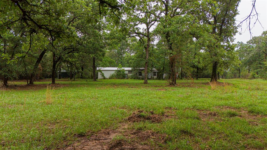 1093 Fm 489, Oakwood, Texas image 30