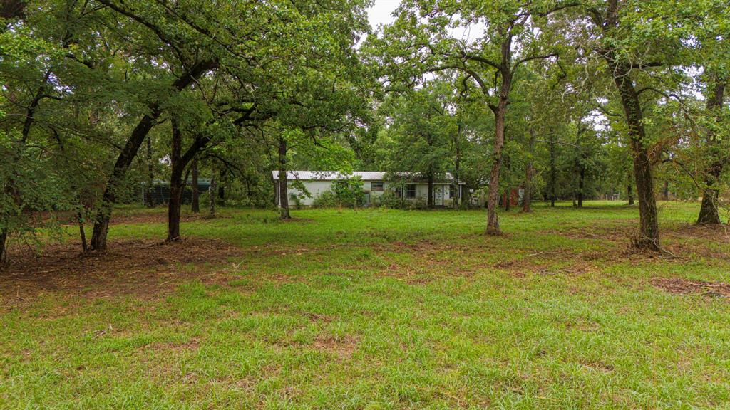 1093 Fm 489, Oakwood, Texas image 10