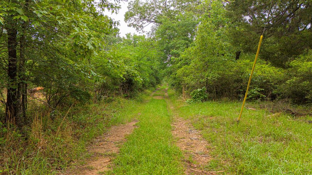 1093 Fm 489, Oakwood, Texas image 40