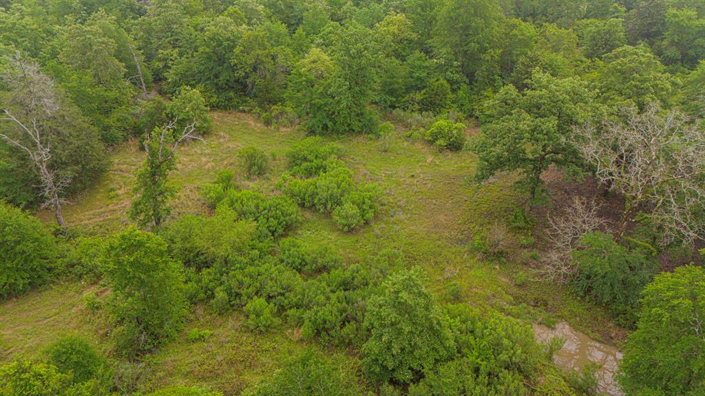 1093 Fm 489, Oakwood, Texas image 32