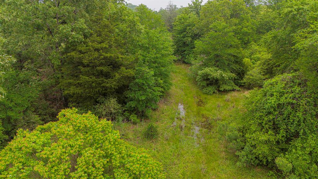 1093 Fm 489, Oakwood, Texas image 34