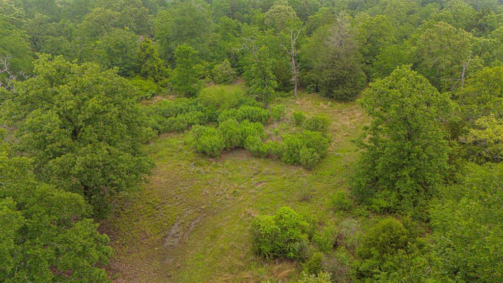 1093 Fm 489, Oakwood, Texas image 33