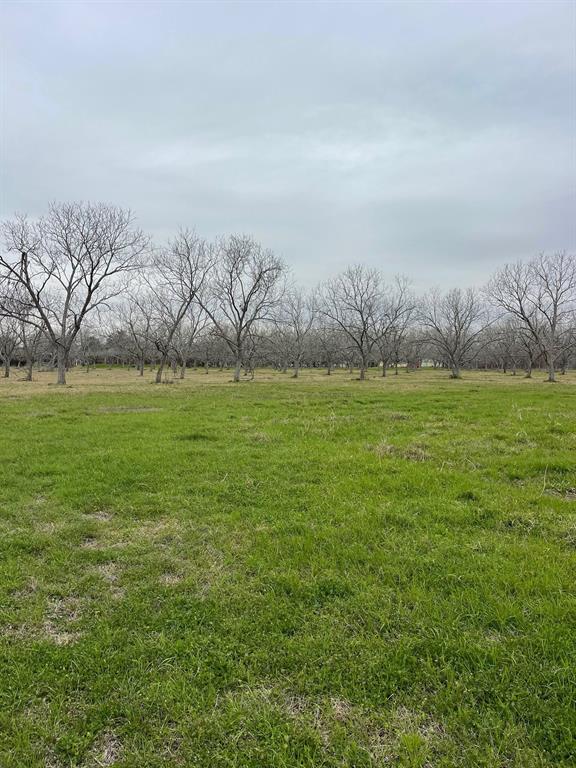 4010 Richmond Foster Road, Richmond, Texas image 6