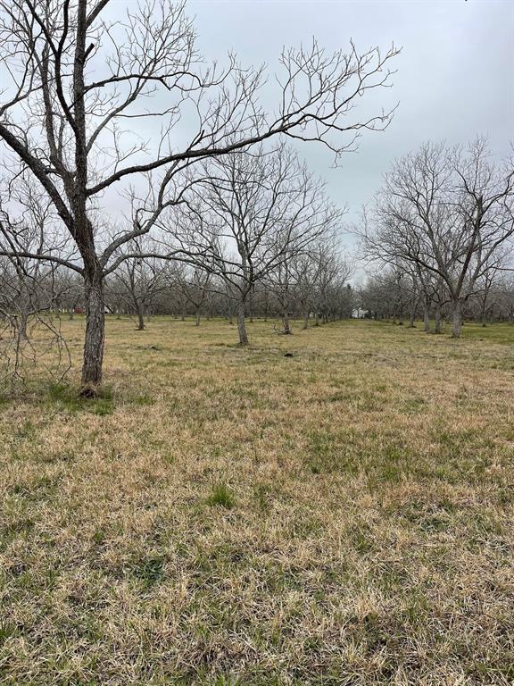 4010 Richmond Foster Road, Richmond, Texas image 3