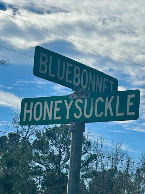 Honeysuckle, Livingston, Texas image 18