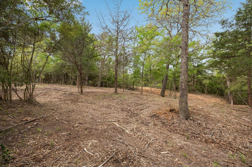 4539 Old Navasota Rd, Brenham, Texas image 16