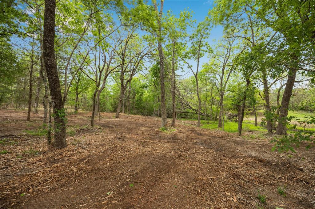 4539 Old Navasota Rd, Brenham, Texas image 5
