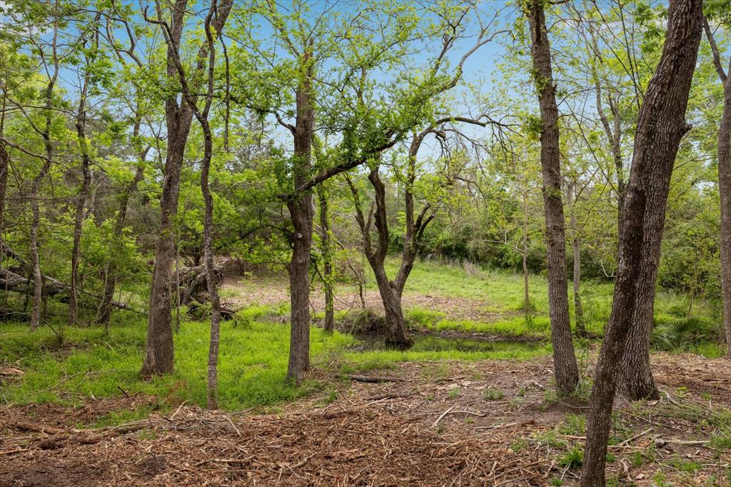 4539 Old Navasota Rd, Brenham, Texas image 9