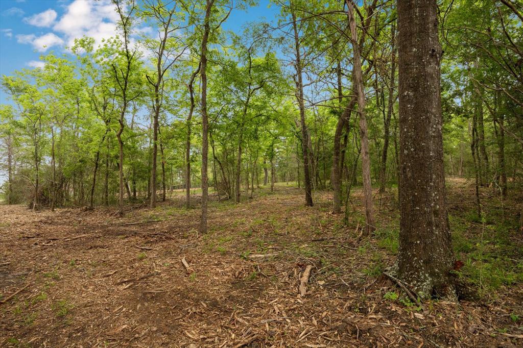 4539 Old Navasota Rd, Brenham, Texas image 11
