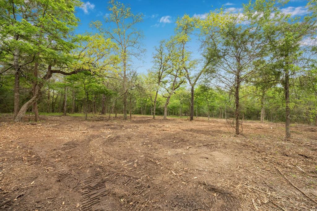 4539 Old Navasota Rd, Brenham, Texas image 4