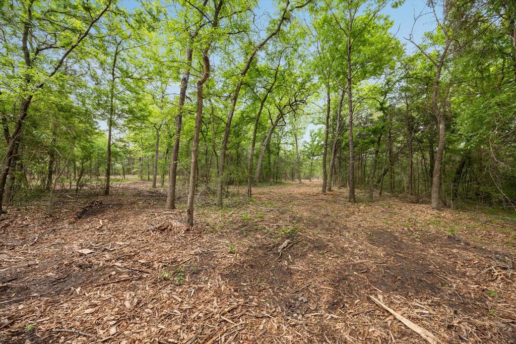 4539 Old Navasota Rd, Brenham, Texas image 10