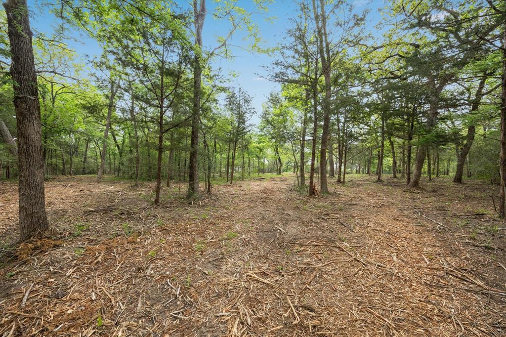 4539 Old Navasota Rd, Brenham, Texas image 14