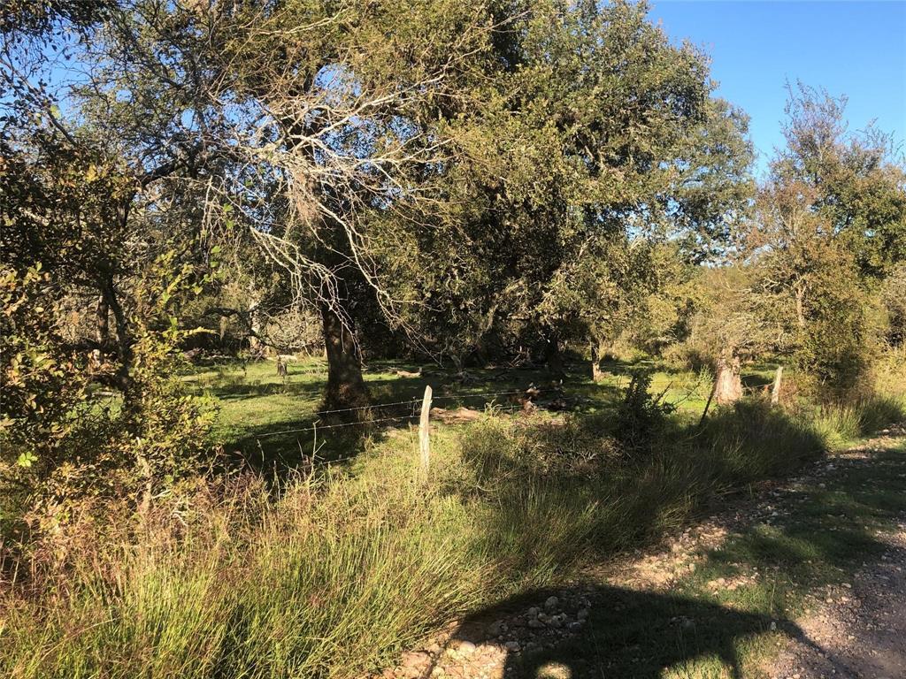 Kickler Road, Fayetteville, Texas image 2