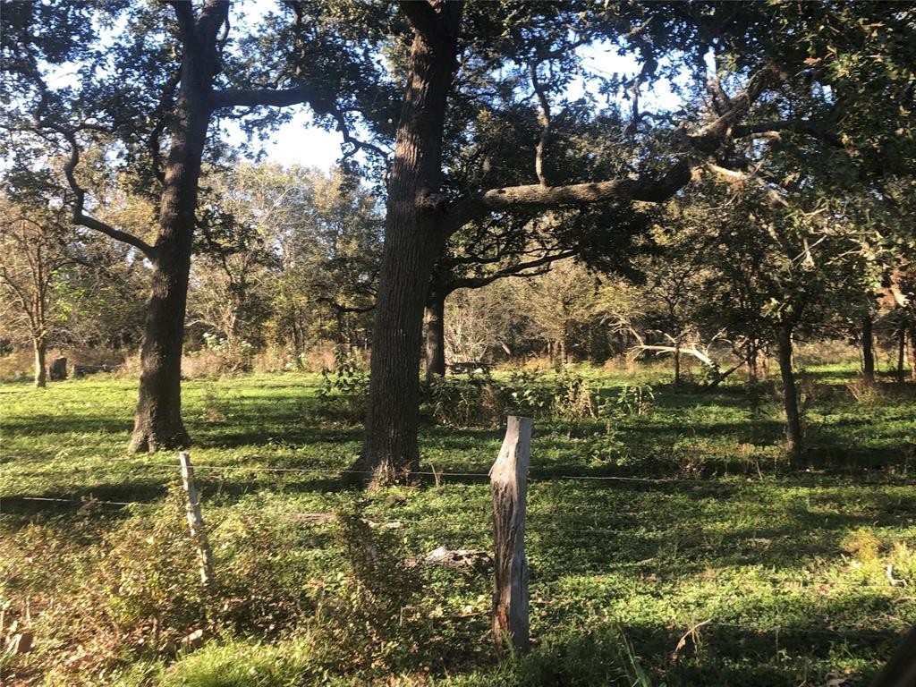 Kickler Road, Fayetteville, Texas image 3