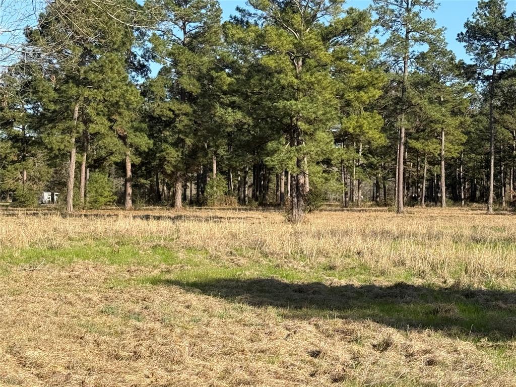 # Rad, Livingston, Texas image 6
