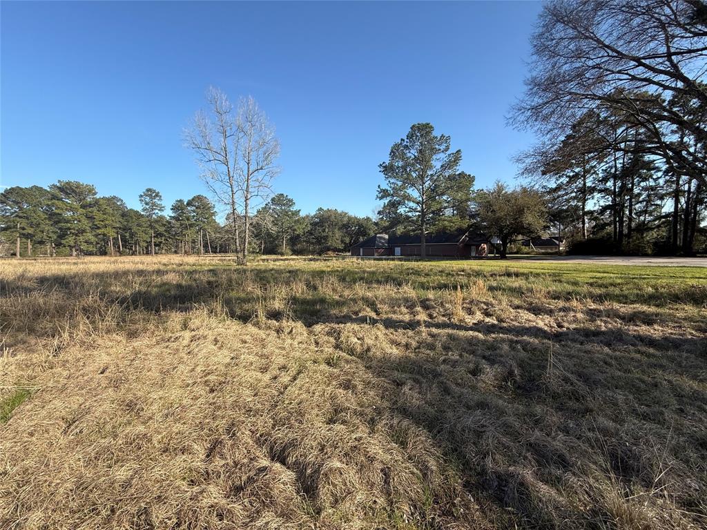 # Rad, Livingston, Texas image 11