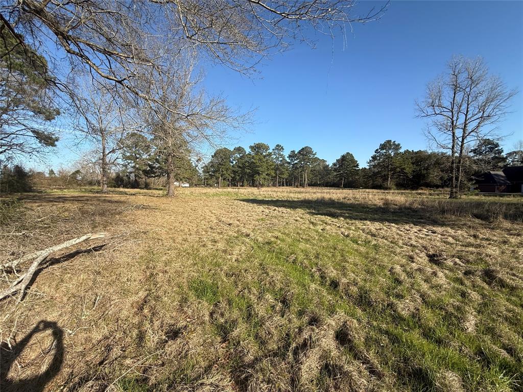 # Rad, Livingston, Texas image 7