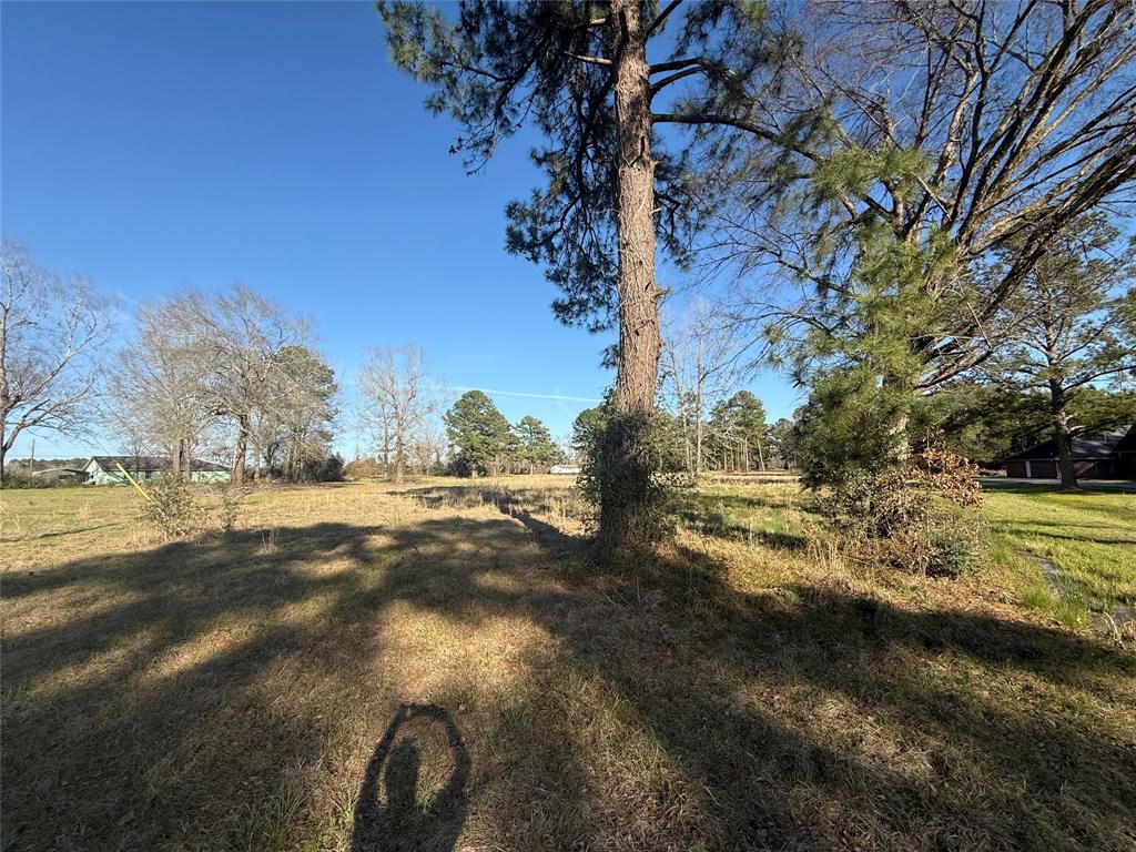 # Rad, Livingston, Texas image 13