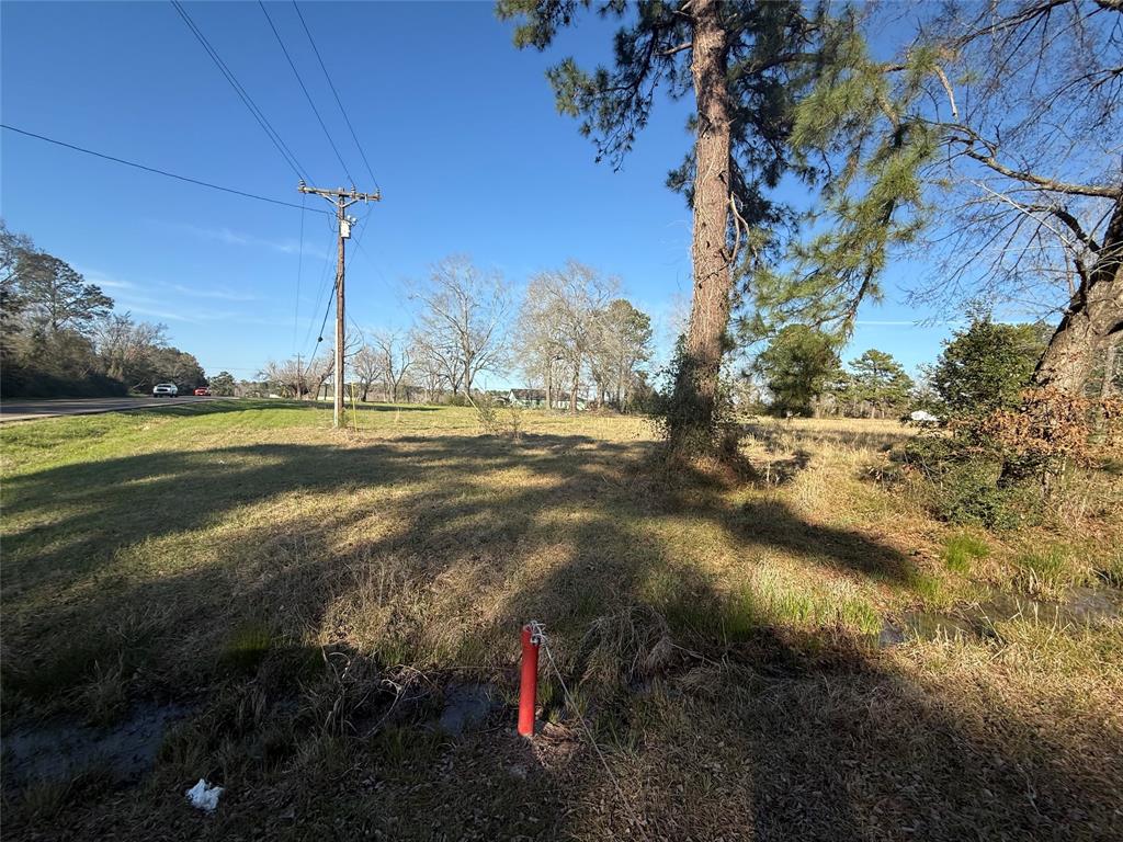 # Rad, Livingston, Texas image 14