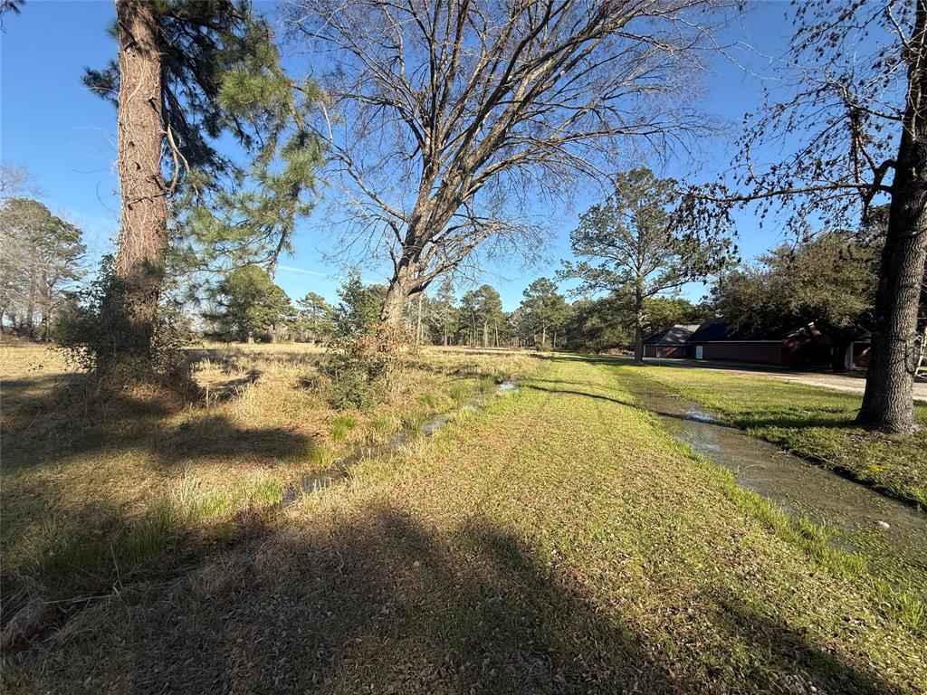 # Rad, Livingston, Texas image 15