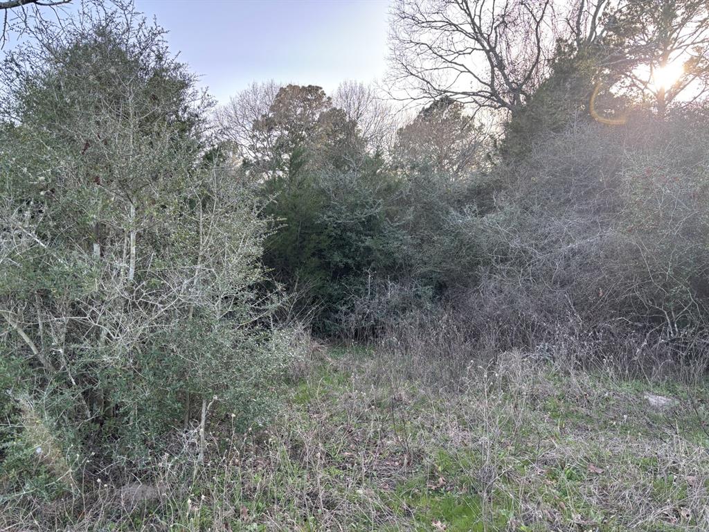0000 Tbd Clens Road, Bellville, Texas image 5