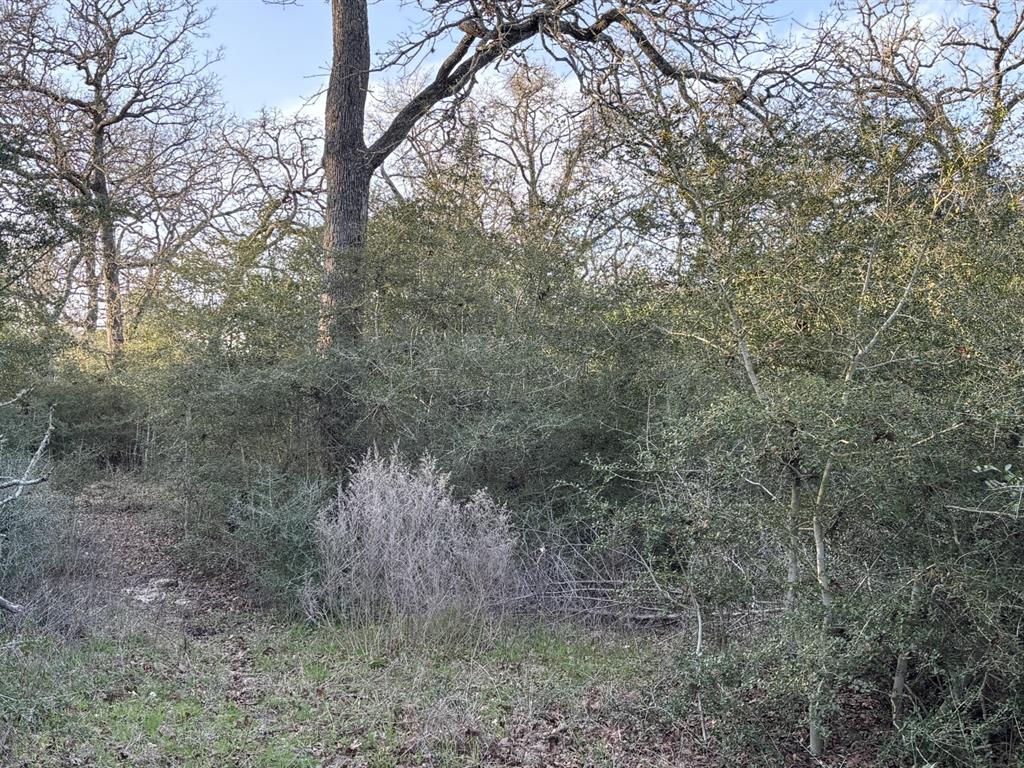 0000 Tbd Clens Road, Bellville, Texas image 4