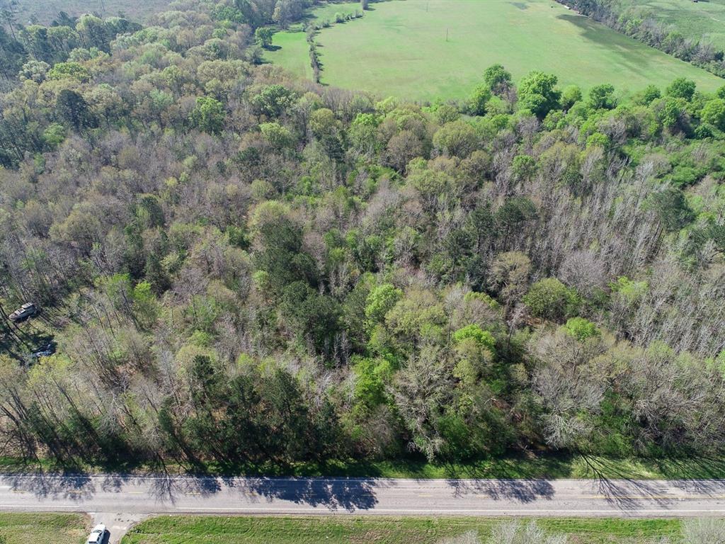 05 Highway 49, Jefferson, Texas image 8