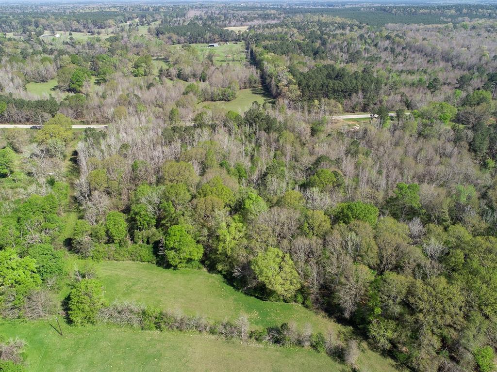 05 Highway 49, Jefferson, Texas image 9